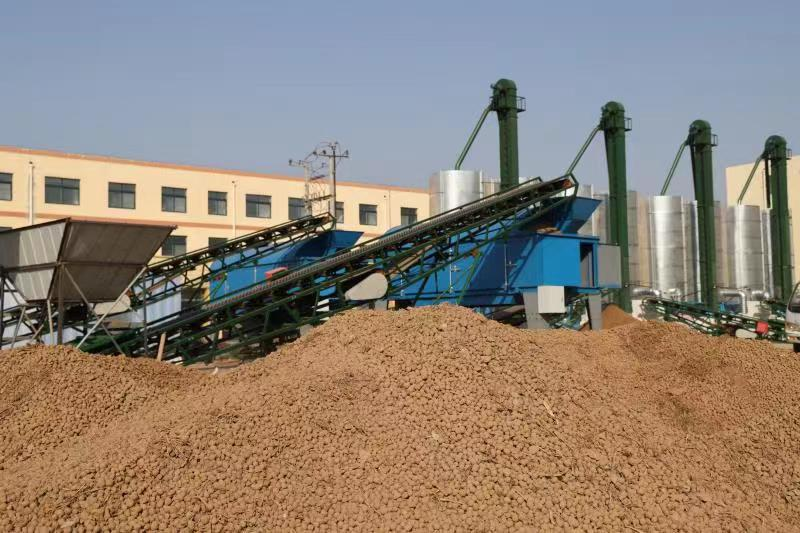 河北故城种植万余亩油莎豆 年产值4000万元-央视融媒网·国际互联网络